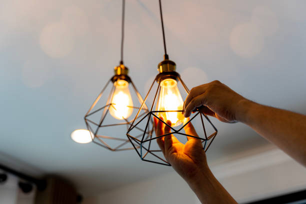 Best Local Electrician Companies  in Fort Calhoun, NE